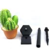 Estaca Solar Decorativo Cactus Verde - Imagen 4
